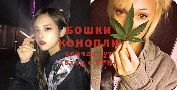 индика Касимов