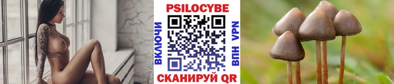 Галлюциногенные грибы Psilocybe МЕГА ссылки Кудымкар купить
